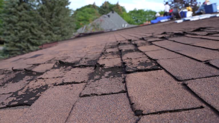 Best Roof Insulation Installation  in Oakley, UT